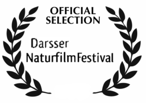 darss-official-selection-400-black_optimized
